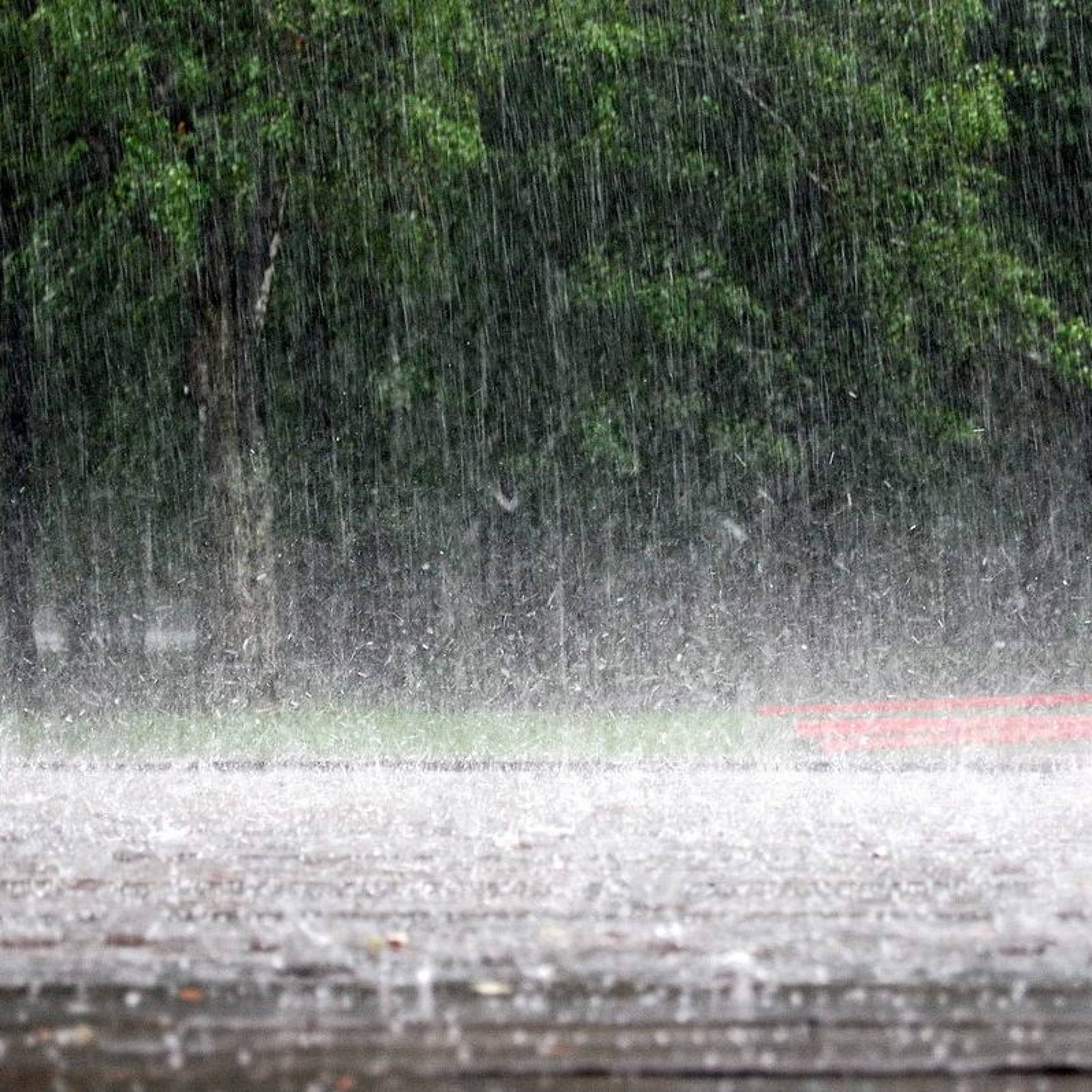 Rainfall episode artwork