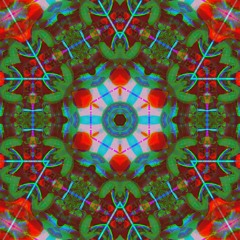 Bineural Jungle - Bineural