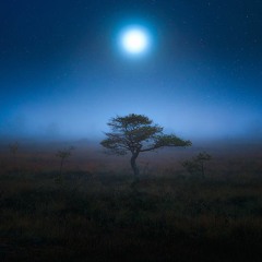 Путеводная Луна