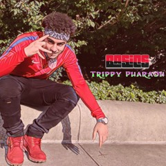 Basics - Trippy Pharaoh