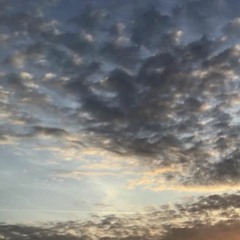 Harry Amplas Commercial Demo 2 Minute