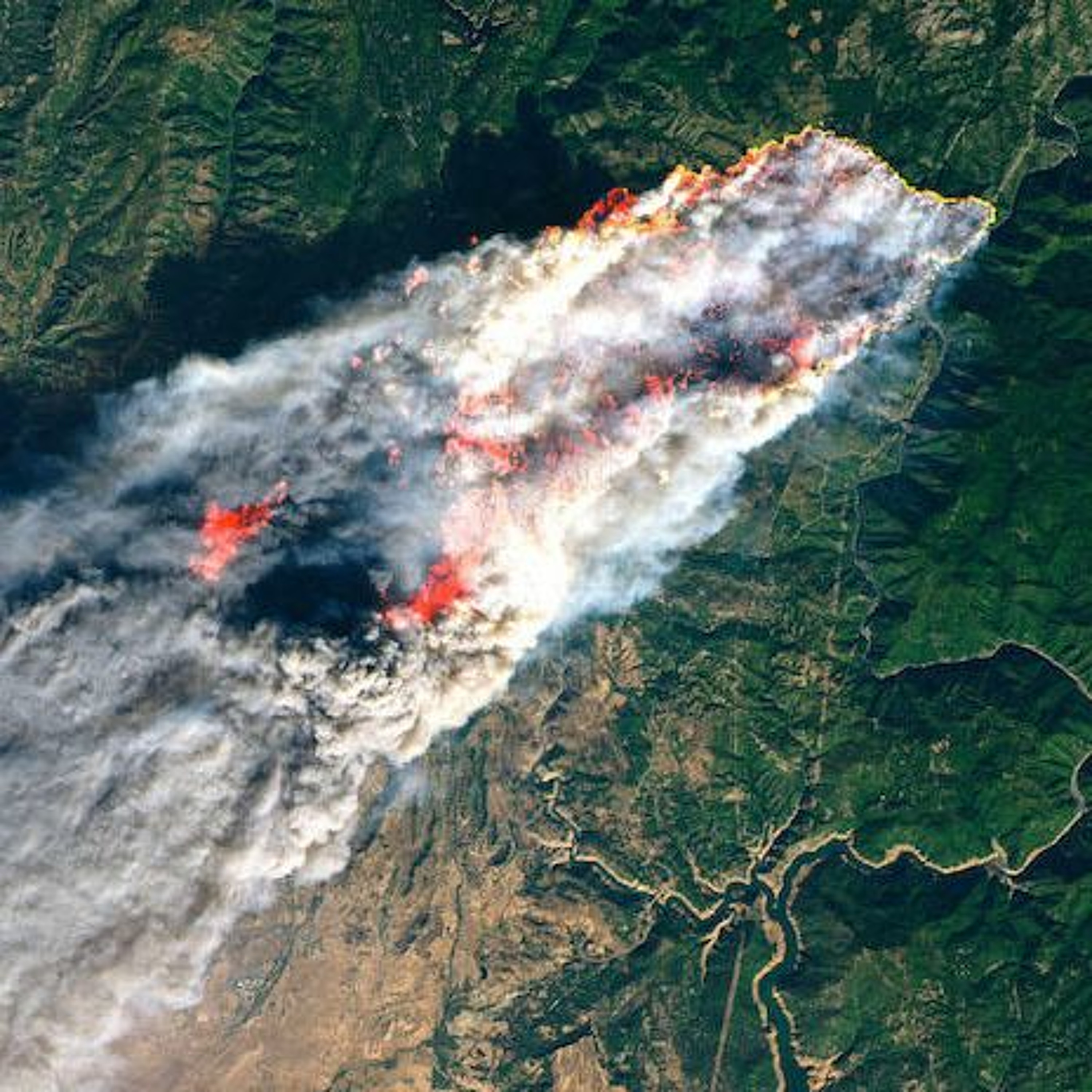 How PG&E's wildfire liability could affect your bill episode artwork