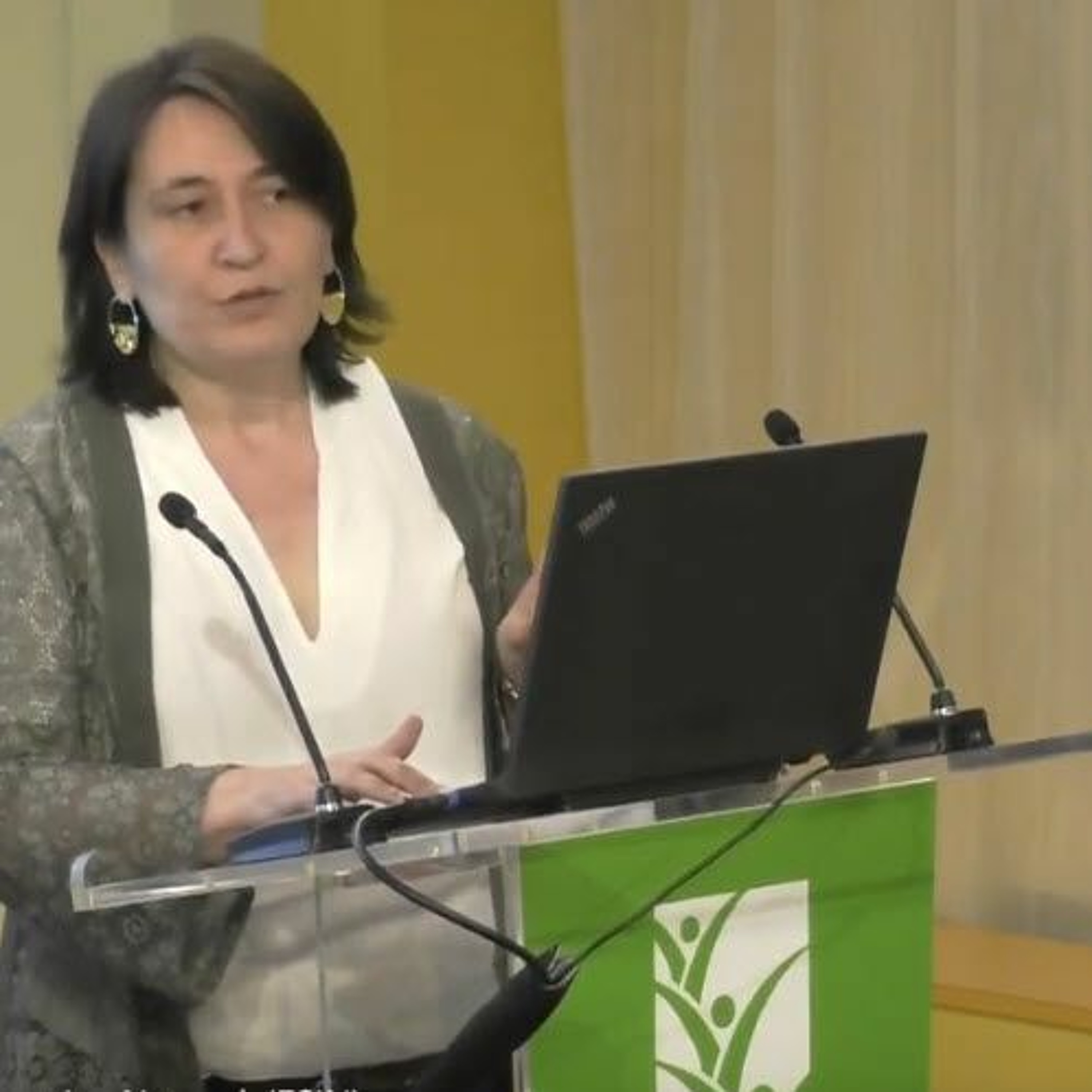 IFPRI POL. SEMINAR:  Tech. Discussion on the 2019 Global Rpt on Food Crises - 4-26-2019 - AMouilliez episode artwork