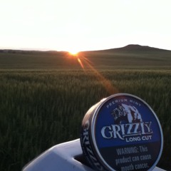 the day i lost my grizzly mint