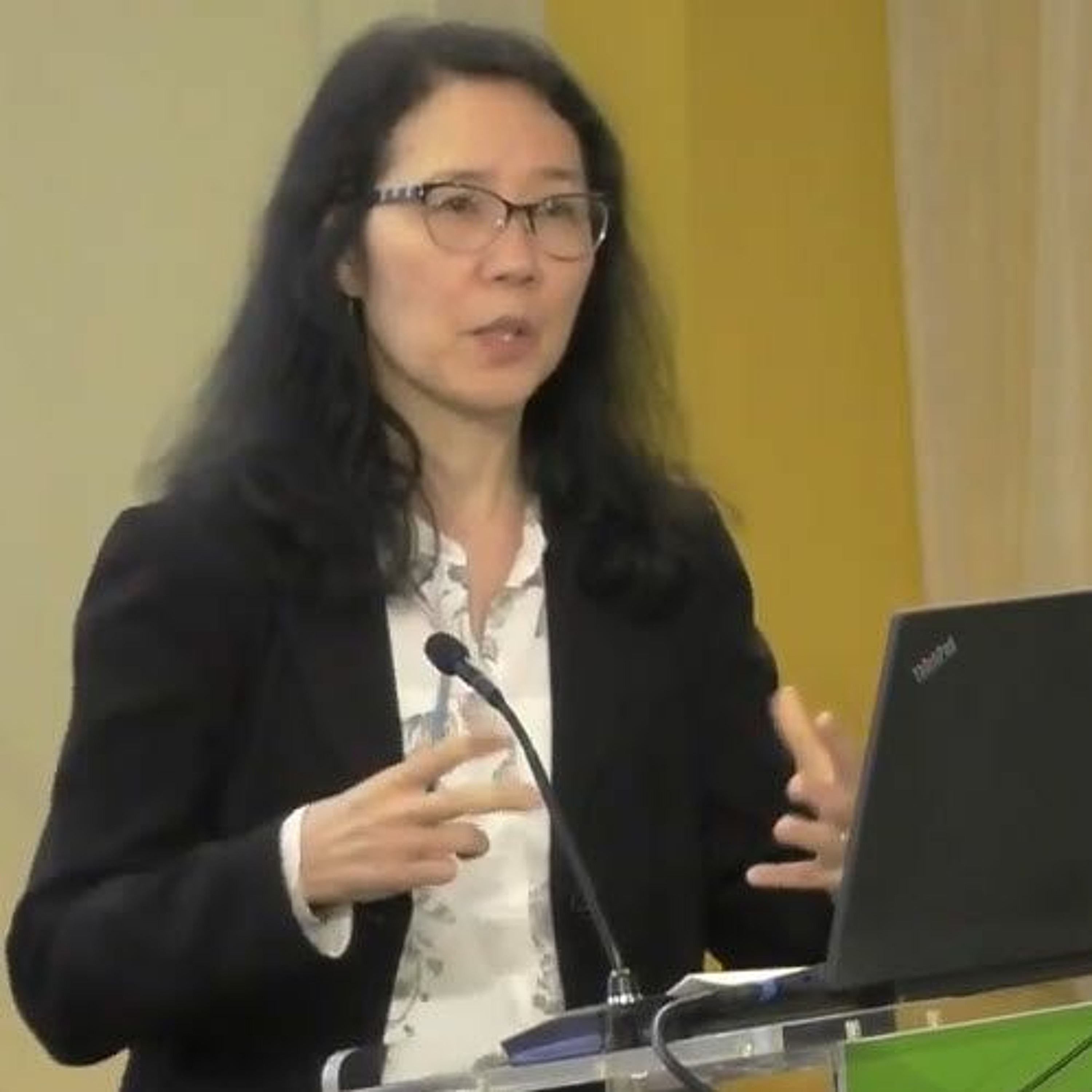 IFPRI POL. SEMINAR:  Tech. Disc. on the 2019 Global Rpt on Food Crises - 4-26-2019 - DDeininger episode artwork