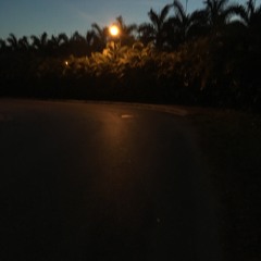 you wrote don’t forget on your arm [wip] • flatsound cover