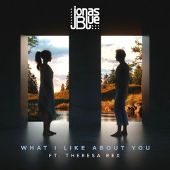 Jonas Blue, Theresa Rex - What I Like About You (Aidan McCrae Remix)