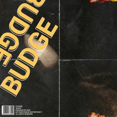 budge (feat. pleasus)