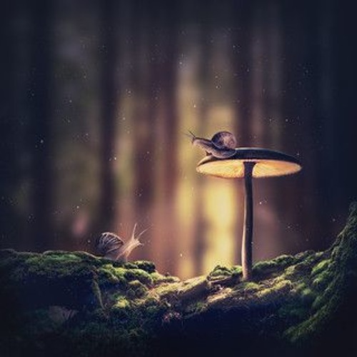 Chakra- The Forest Deep (Darkpsy-Hitech set)