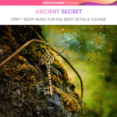 Healing Frequencies Music by Meditative Mind