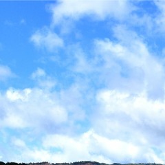 Ka Makani (The Wind)