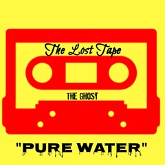 (Vicious Records) Mustard & Migos- Pure Water (TheGhostVee REMIX)