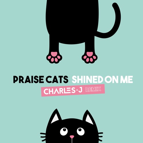 Shined On Me (Charles J Remix)