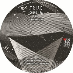 VBS05 Triad - Chong Ji Pai Incl. Dubphone Remix - Vinyl Only