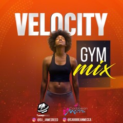 Velocity Gym Mix by James Reed