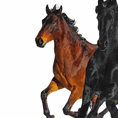 Lil Nas X - Old Town Road feat. Billy Ray Cyrus (Janji remix)