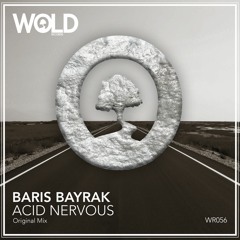 BARIS BAYRAK - Acid Nervous (Original Mix)