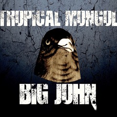 Tropical Mongol - BIG JOHN