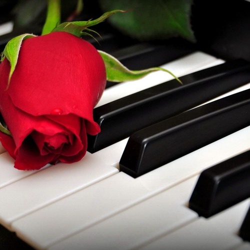 Đừng như thói quen- Piano Cover