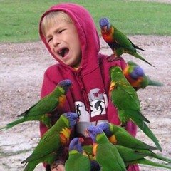 Ghost Noises - Eeeeeuuuuuwwwwhheeeewwwo