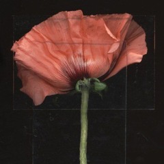 WL//WH - APRIL 2019 \\ Post-Punk/Coldwave/Darkwave/SynthPop/Minimal Synth
