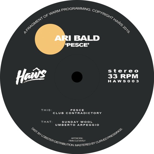 PREMIERE: Ari Bald - Sunday Wool [Haŵs]