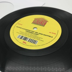 George Alexander feat. Big John Whitfield - Promised Land