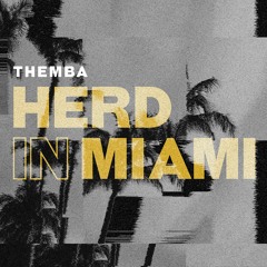 Herd In Miami