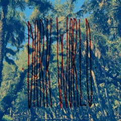 「 The Adventures of VVormgod 」