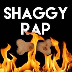 Shaggy Rap by Daddyphatsnaps