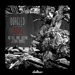 PREMIERE: Odagled - Dreams Of Power (Original Mix) [Dialtone Records]