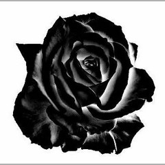 LA nightshow (prod. by frakcija)