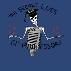 Secret Lives Of Professors 2 Mixdown Final