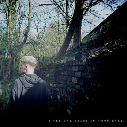 i see the tears in your eyes (prod. brody)