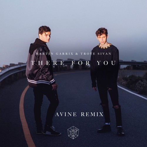 Martin Garrix & Troye Sivan - There For You (Avine Remix)
