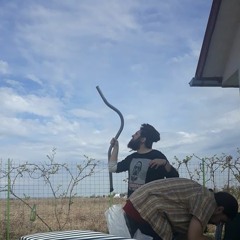 FRUCTUL OTRAVIT FT EMPERROR BETA