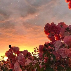 عبد الباسط