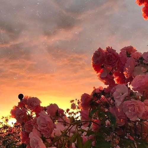 قَالَ إِنَّمَا أَشْكُو بَثِّي وَحُزْنِي إِلَى اللَّه - عبد الباسط عبد الصمد