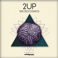 2UP Feat Jaq Mendez - In the distance