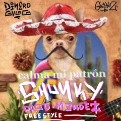 PATRÓN FREESTYLE