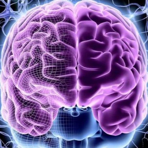 Drop Your Brain - Boorynerz = (PointKom & KAZMATEK)