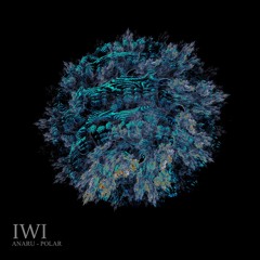 Anaru - Polar [IWI10]