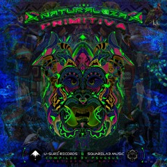 Dezzert - DTS (Squarelab Music) - Included in V.A. - Naturaleza Primitva