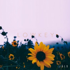 lowkey(R&B/Alternative Mix)