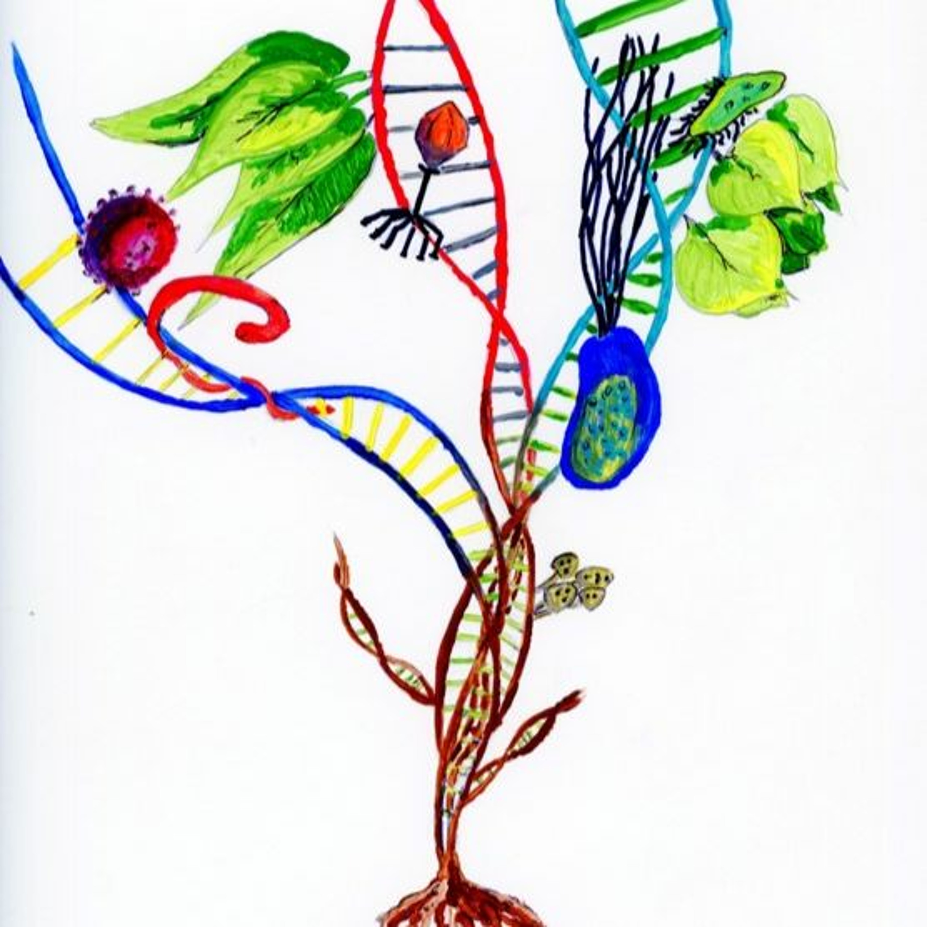 RadioBio