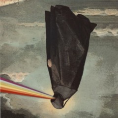 Misanthrope (prod. physical$)