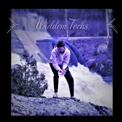 Widdem Techs