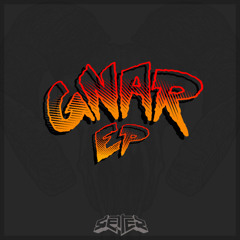 Getter - GNAR (2013)
