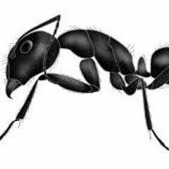 "Ant MAnn" by StylesAmillie