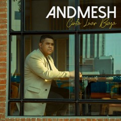 Andmesh - Cinta Luar Biasa (Best Cover by Male)